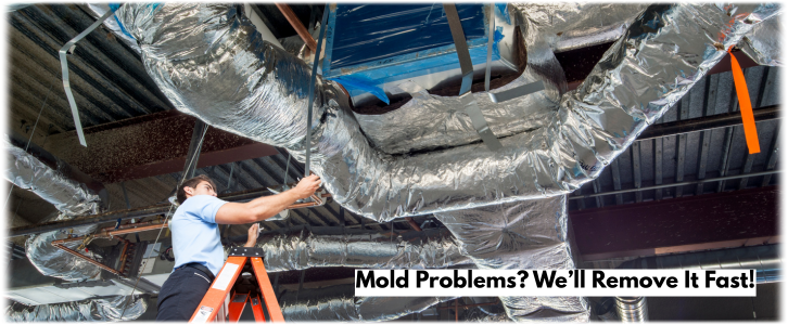 Air Duct Mold Removal in Whittier CA